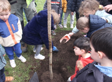 Enfants et arbre