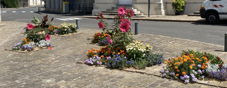 Fleurissement estival