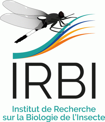 IRBI