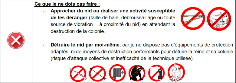 Ne pas faire en présence de frelons