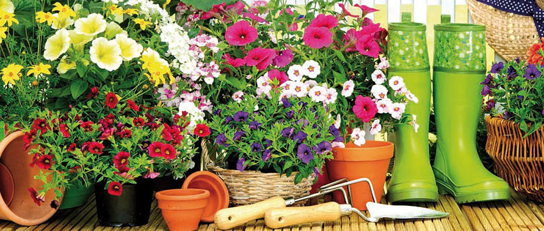 concours Maisons fleuris