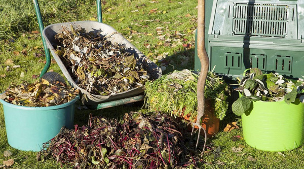 Déchets végétaux