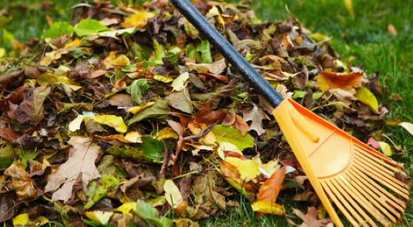 collecte des déchets