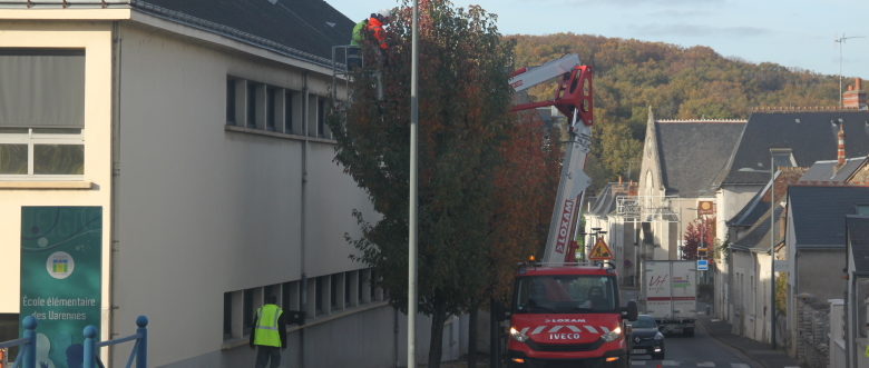Mise en place des décorations de Noël
