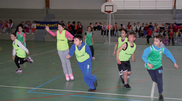 basket