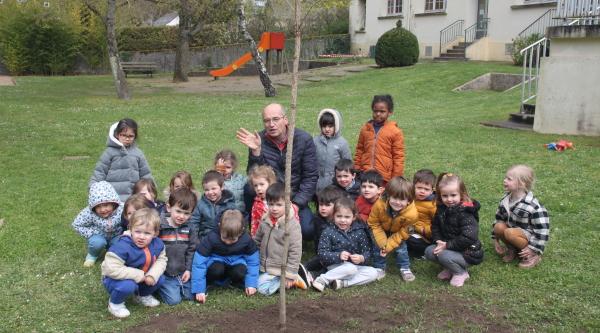Arbre maternelle du Moulin