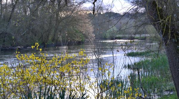 Bords de l'indre