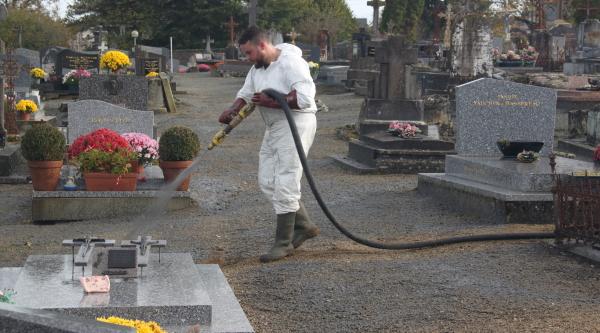 Végétalisation du cimetière